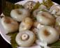 Как солить грибы на зиму в домашних условиях горячим и холодным способом – простые рецепты пошагово с фото